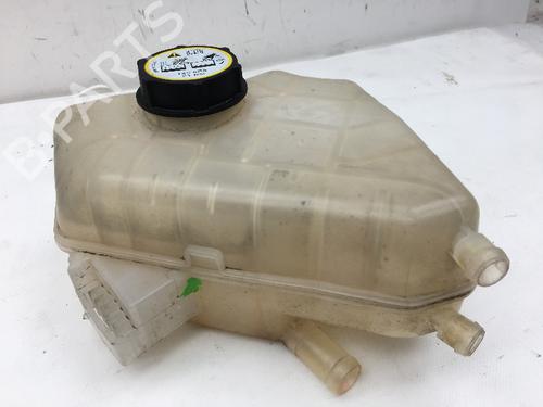 Used Expansion tank FORD FIESTA VI (CB1, CCN) 1.25 (60 hp) 14587290