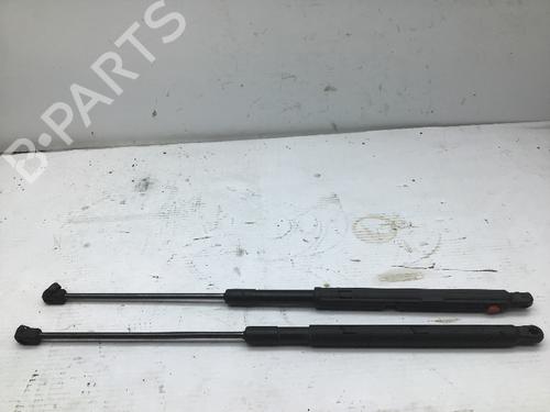 Hood lift support MERCEDES-BENZ M-CLASS (W164) ML 320 CDI 4-matic (164.122) | BP19709153C139 