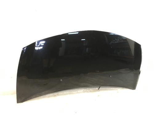Hood RENAULT CLIO III (BR0/1, CR0/1) 1.2 16V (BR0P, CR0P) | BP10495666C1