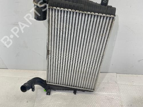 Intercooler OPEL ASTRA H TwinTop (A04) 1.9 CDTi (L67) (150 hp) 31344640