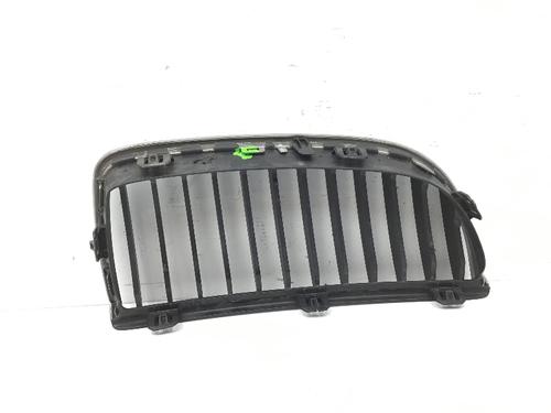 Grille BMW 3 (E90) 318 i | BP24110872C40 