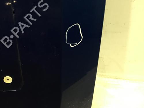 Tailgate MINI MINI (R56) One | BP17000734C6 