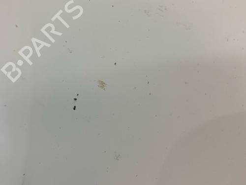 Front bumper RENAULT CLIO III (BR0/1, CR0/1) 1.2 16V (BR02, BR0J, BR11, CR02, CR0J, CR11) | BP31925258C7 