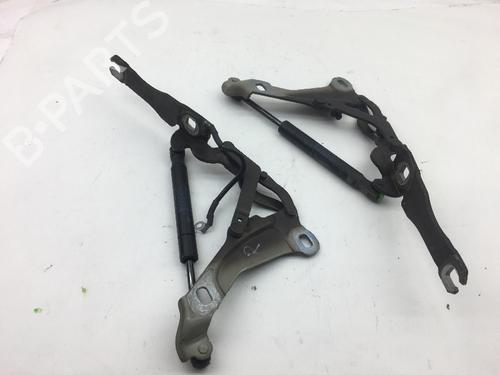 Hinge/Door check strap MINI MINI CLUBMAN (R55) Cooper S | BP14585843C146 