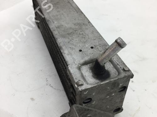 Oil radiator FIAT PUNTO (188_) 1.2 16V 80 (188.233, .235, .253, .255, .333, .353, .639,... | BP14586950M33 