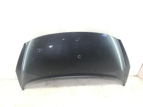 Used Hood PEUGEOT 207 CC (WD_) 1.6 16V (120 hp) 17147193