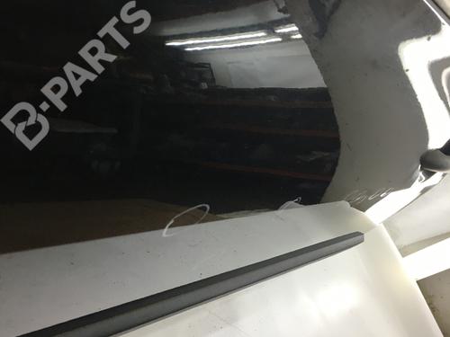 Left front door RENAULT MEGANE II (BM0/1_, CM0/1_) 1.4 16V | BP7079746C2 