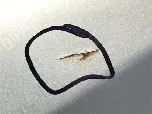 Błotnik przedni lewy OPEL SIGNUM Hatchback (Z03) 2.2 direct (F48) | BP17749624C41 