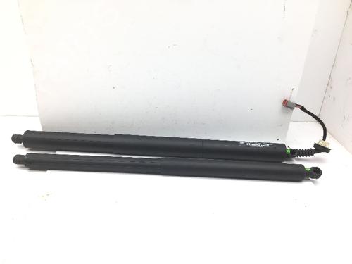 Used Tailgate lift support FORD USA EDGE 2.0 EcoBlue AWD (238 hp) 29595845