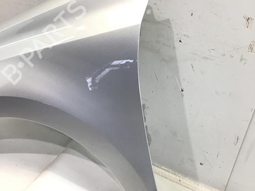 Left front fenders VW POLO V (6R1, 6C1) 1.2 TDI | BP29324958C41 