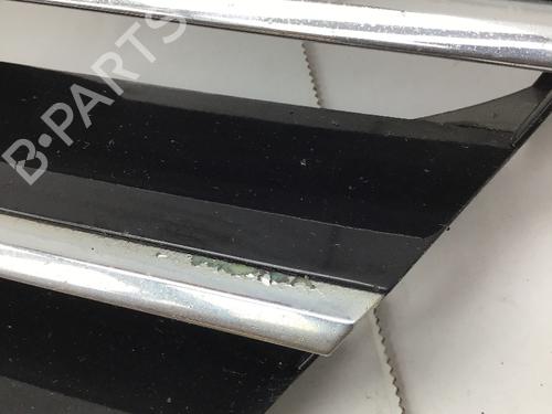 Grille MERCEDES-BENZ A-CLASS (W169) A 150 (169.031, 169.331) | BP26293202C40 