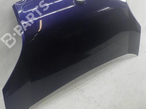 Hood FIAT QUBO (225_) 1.3 D Multijet (225CXB1A, 225AXB1A, 225CXB11, 225AXB11,... | BP6253163C1 