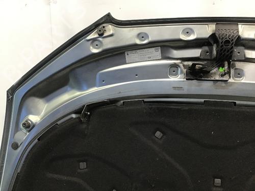 Hood AUDI A3 (8P1) 1.4 TFSI | BP19323446C1 
