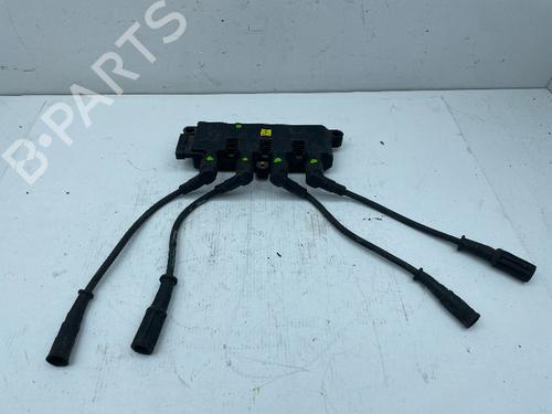 Used Ignition coil FIAT PUNTO (199_) 1.2 (199AXZ1A, 199BXZ1A) (69 hp) 30297996