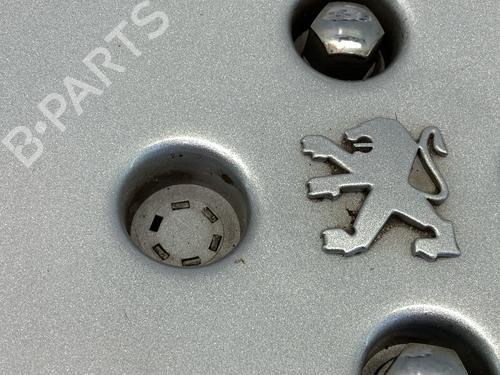 Hub cap PEUGEOT 306 Break (7E, N3, N5) 2.0 HDI 90 | BP30463744C160 
