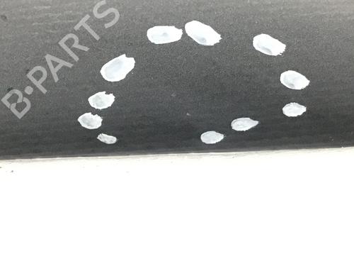 Left rear door SEAT IBIZA III (6L1) 1.4 16V | BP20209195C4 