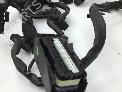 Wiring harness MERCEDES-BENZ C-CLASS (W204) C 180 CGI (204.049) | BP29042618E16 