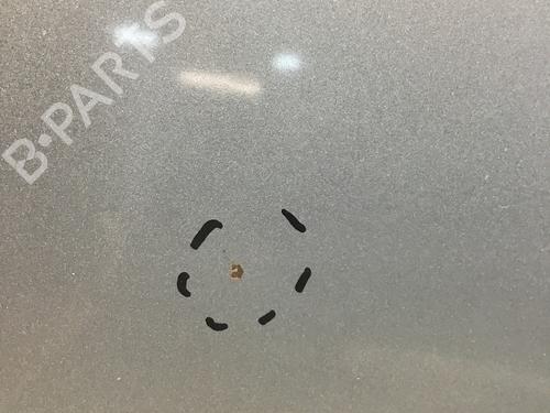 Hood FORD FOCUS C-MAX (DM2) 2.0 TDCi | BP19843812C1 