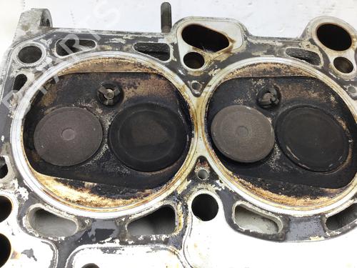 Sylinderhode AUDI A3 (8L1) 1.6 | BP28103653M5 