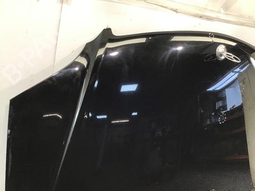 Hood MERCEDES-BENZ M-CLASS (W164) ML 320 CDI 4-matic (164.122) | BP19699824C1 