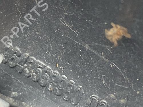  - Image 4