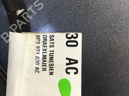 Right front door AUDI A3 (8P1) 1.4 TFSI | BP19324938C3 