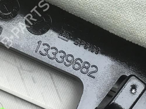 Interior roof light OPEL INSIGNIA A Sports Tourer (G09) 2.0 CDTI (35) | BP29971720I8