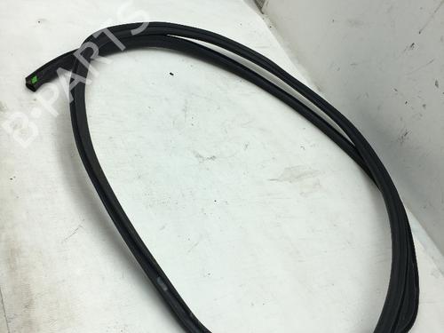 Rubber door seal BMW 7 (F01, F02, F03, F04) 750 i, Li xDrive | BP14587465C142 