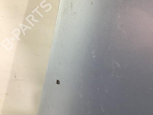 Left front door OPEL ZAFIRA A MPV (T98) 1.8 16V (F75) | BP13314410C2 