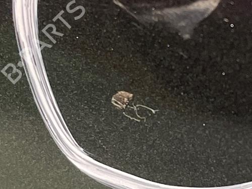 Right front fenders OPEL ASTRA H TwinTop (A04) 1.9 CDTi (L67) | BP31294217C42