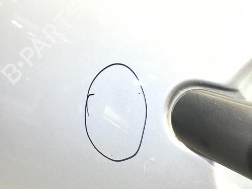 Left rear door SKODA FABIA II Combi (545) 1.2 | BP19287569C4 