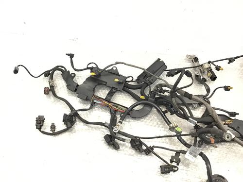 Wiring harness MERCEDES-BENZ C-CLASS (W203) C 230 (203.052) | BP20512379E16 