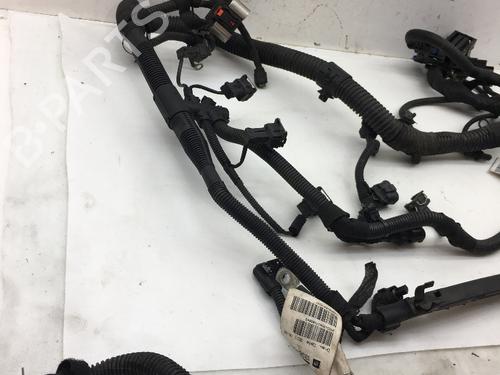 Wiring harness OPEL MERIVA B MPV (S10) 1.4 (75) | BP14586961E16 