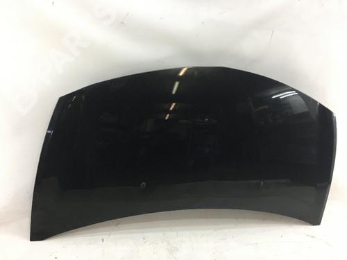 Used Hood RENAULT CLIO III (BR0/1, CR0/1) 1.2 16V (BR0P, CR0P) (101 hp) 6943412