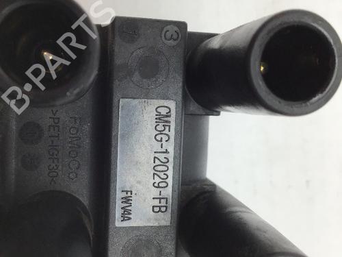 Ignition coil FORD FIESTA VI (CB1, CCN) 1.25 | BP16965490M94 