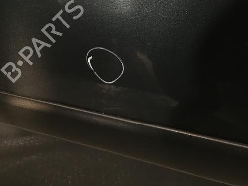 Dør venstre foran SKODA FABIA II (542) 1.4 | BP30174066C2