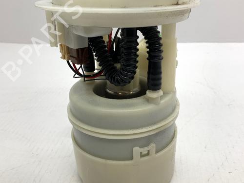 Fuel pump DACIA SANDERO 1.4 (BS0C, BS0A, BS0G, BS1F, BS0E) | BP13099189M76 