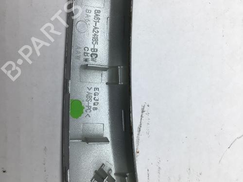 Door moulding trim FORD FIESTA VI (CB1, CCN) 1.25 | BP16939770C150 