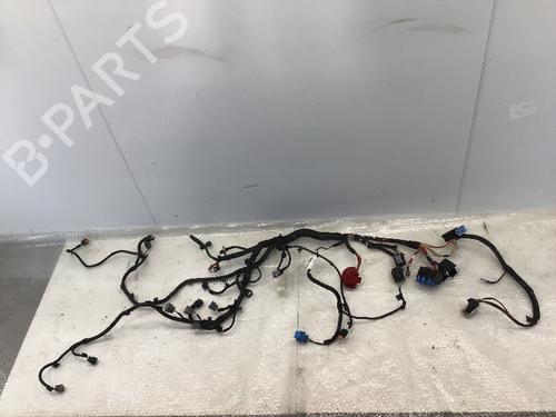 Used Wiring harness DACIA LOGAN MCV II 1.0 SCe 75 (73 hp) 24646240