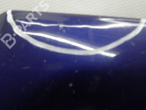 Hood FIAT QUBO (225_) 1.3 D Multijet (225CXB1A, 225AXB1A, 225CXB11, 225AXB11,... | BP6253163C1 