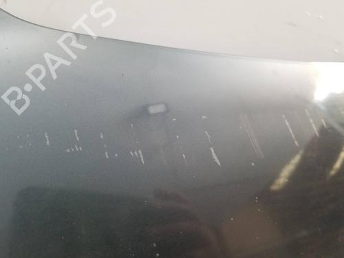 Hood SEAT IBIZA III (6L1)  | BP25304299C1