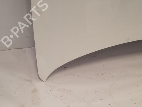 Hood NISSAN QASHQAI I (J10, NJ10)  | BP29813696C1 