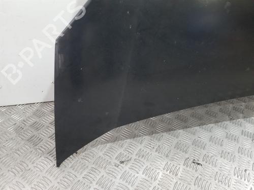 Hood PEUGEOT BIPPER (AA_) 1.3 HDi 75 | BP20110591C1