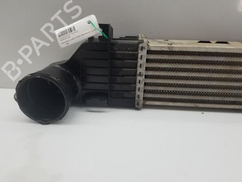 Intercooler MERCEDES-BENZ S-CLASS (W220, V220) S 320 CDI (220.026, 220.126) | BP17215981M30 