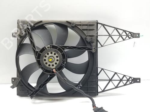 Radiator fan SEAT IBIZA III (6L1)  | BP22941669M35 