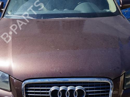 Used Hood Hood AUDI A3 Sportback (8PA) 2.0 TDI 16V (140 hp) 33558805 33558805