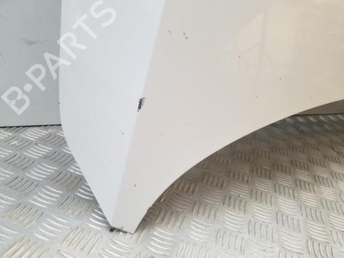 Hood SKODA RAPID (NH3, NK3, NK6) 1.6 TDI | BP19935074C1 