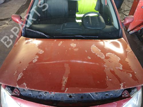 Motorhjelm RENAULT MEGANE II (BM0/1_, CM0/1_) 1.9 dCi (BM0G, CM0G) (120 hp) 24169731