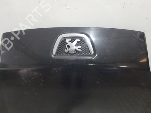 Hood PEUGEOT BIPPER (AA_) 1.3 HDi 75 | BP20110591C1