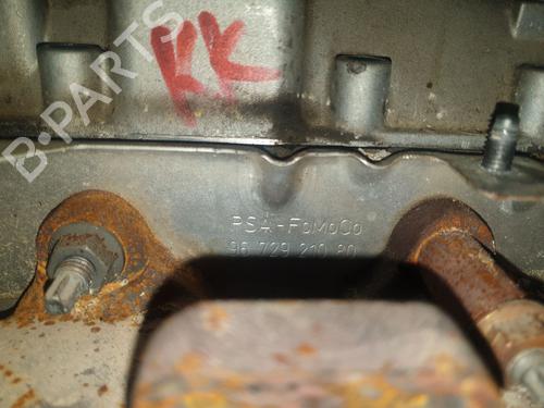 Cylinder head FORD ECOSPORT 1.5 TDCi | BP23221526M5 
